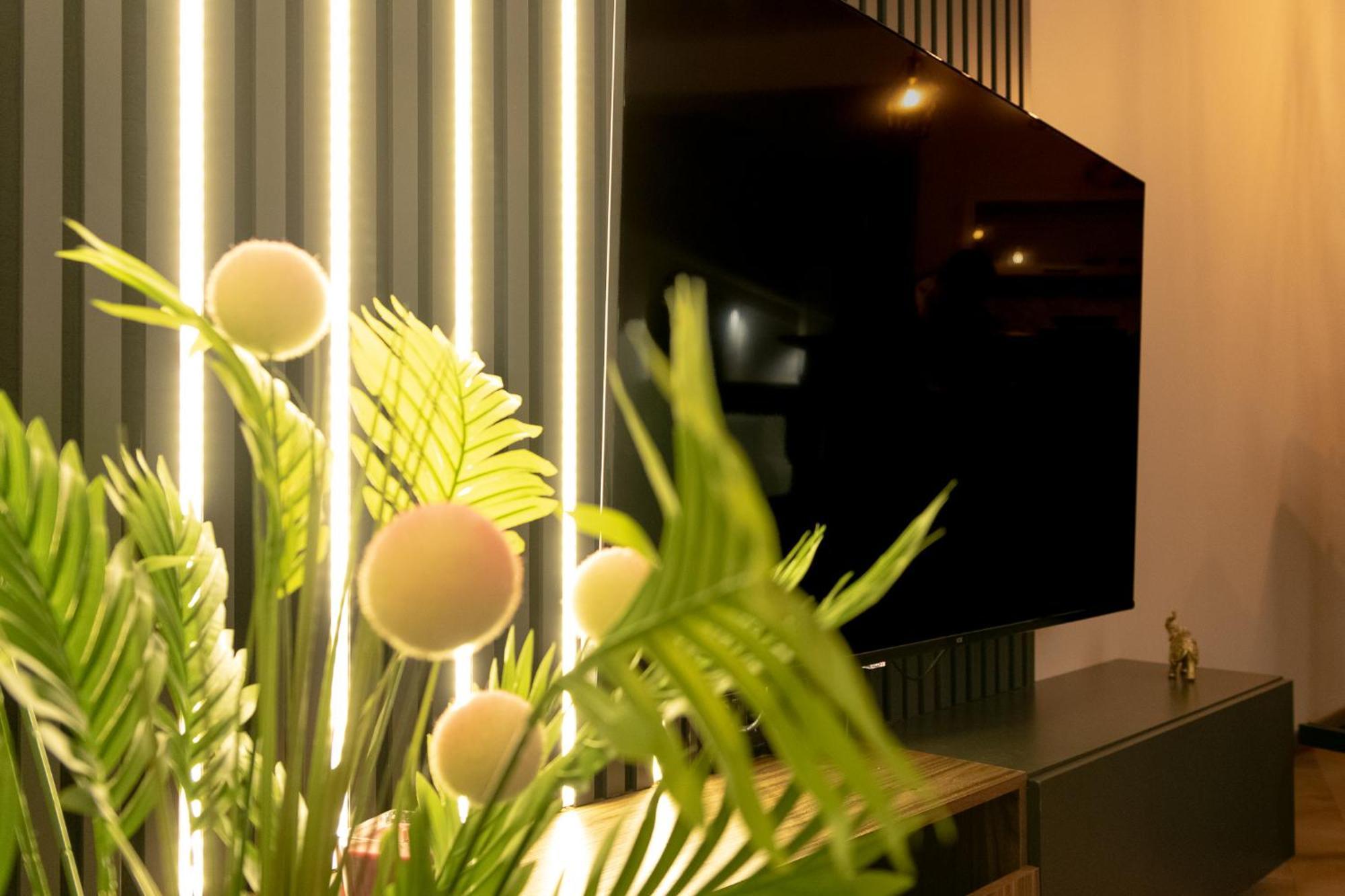 Fenix Apartments ソコバニャ エクステリア 写真